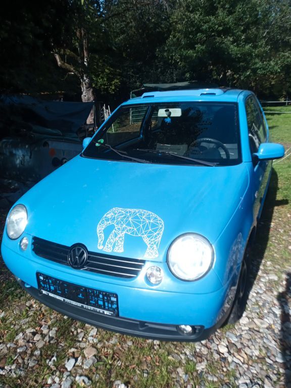 Lupo
