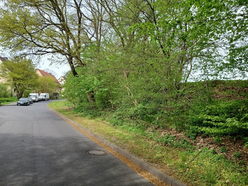 unbebautes Grundstück in Uslar zimmer