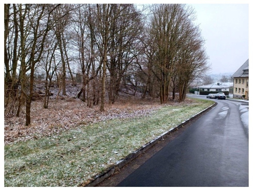 unbebautes Grundstück in Uslar zimmer