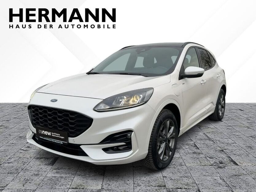 Kuga