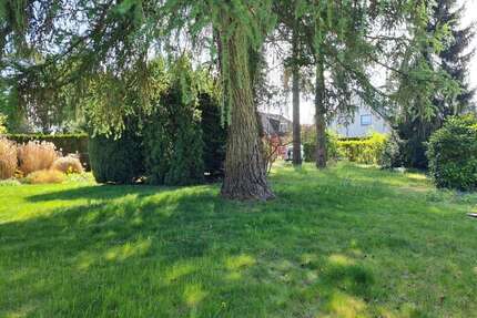 Grundstück zu verkaufen in Schöneiche 300.000 € 1002 m²
