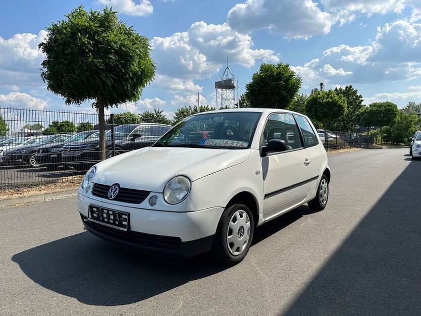 Lupo