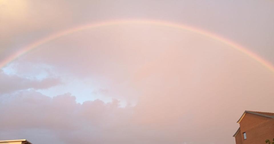 Etagenwohnung Nörten-Hardenberg Hardenberg - 4 Zimmer, 100 m&sup2;, 1.250&euro; | Angebot:24641398