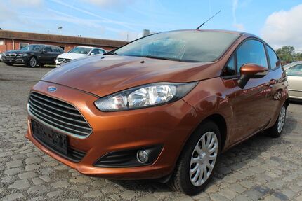 Ford Fiesta 230.720 km 3.499 € Herzberg am Harz 37412