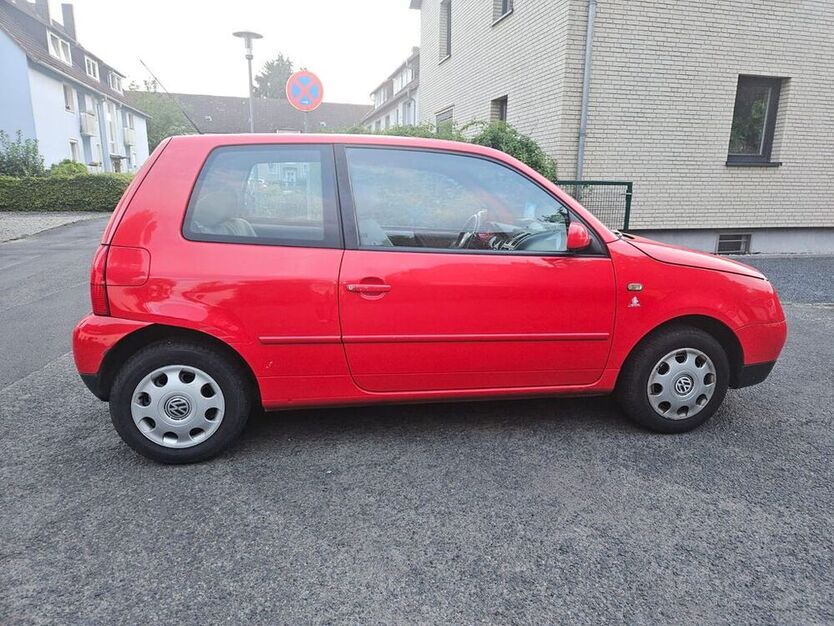 Lupo