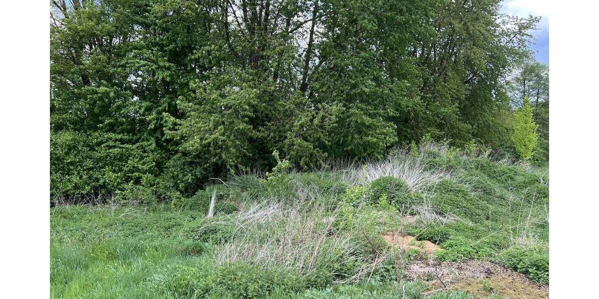 Grundstück Uslar - 99.000&euro; | Angebot:26803285