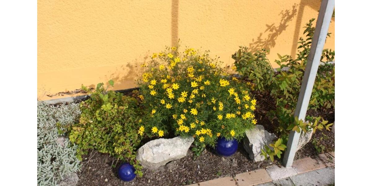 Mehrfamilienhaus, Wohnhaus Rosdorf - 15 Zimmer, 320 m&sup2;, 950.000&euro; | Angebot:24372616