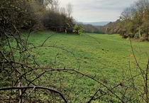3.248 m2 Grünland in Göttingen OT Nikolausberg zimmer