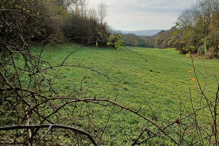 3.248 m2 Grünland in Göttingen OT Nikolausberg zimmer