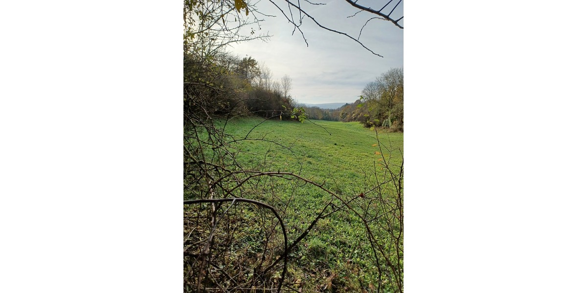 3.248 m2 Grünland in Göttingen OT Nikolausberg zimmer