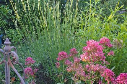 Reihenmittelhaus, Geismar-Gö Verkauf o. Miete 2 zimmer