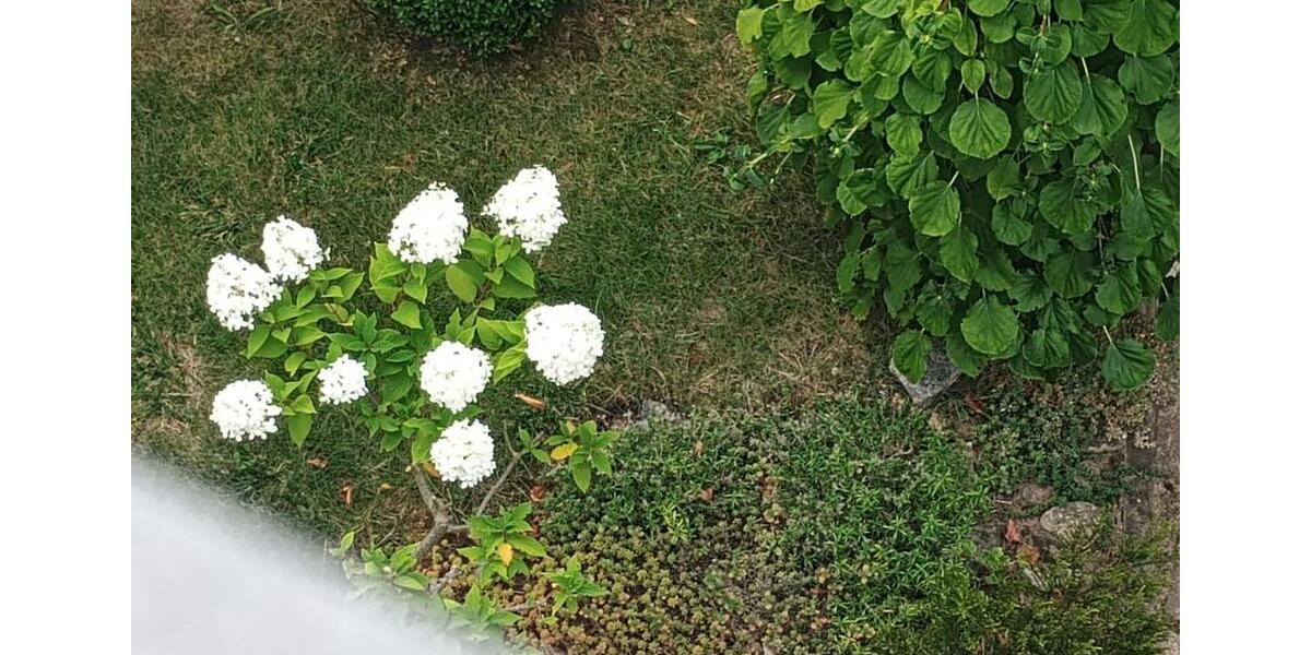 Ruhige, Charmantes Einfamilienhaus zu vermieten in Nörten 5 zimmer