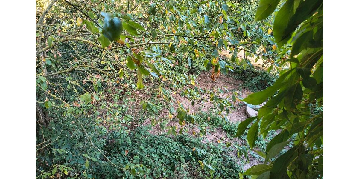 Einfamilienhaus Hattorf am Harz - 25.000&euro; | Angebot:27203167