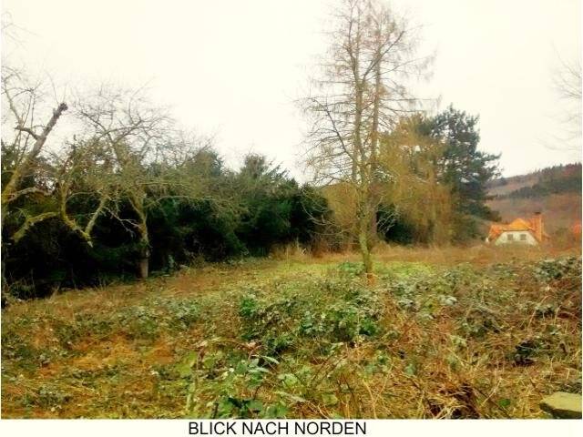 Großes Grundstück für Investor oder Großfamilie zimmer