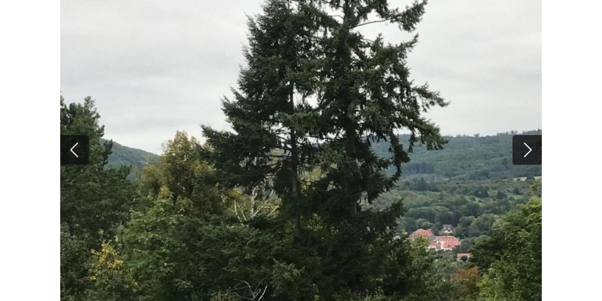 Etagenwohnung Witzenhausen - 5 Zimmer, 72 m&sup2;, 490&euro; | Angebot:26506869