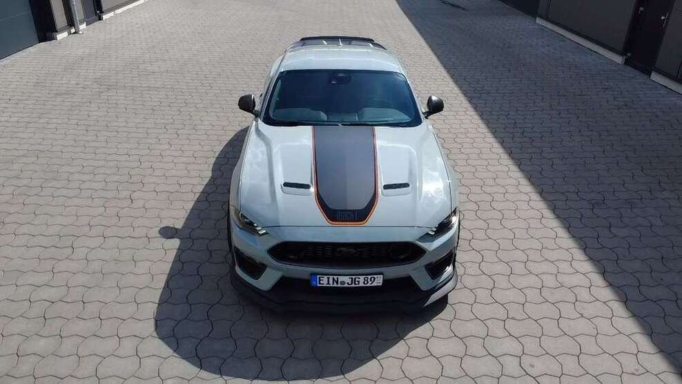 Mustang