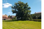 Einfamilienhaus Adelebsen - 5 Zimmer, 100 m&sup2;, 385.000&euro; | Angebot:27235029