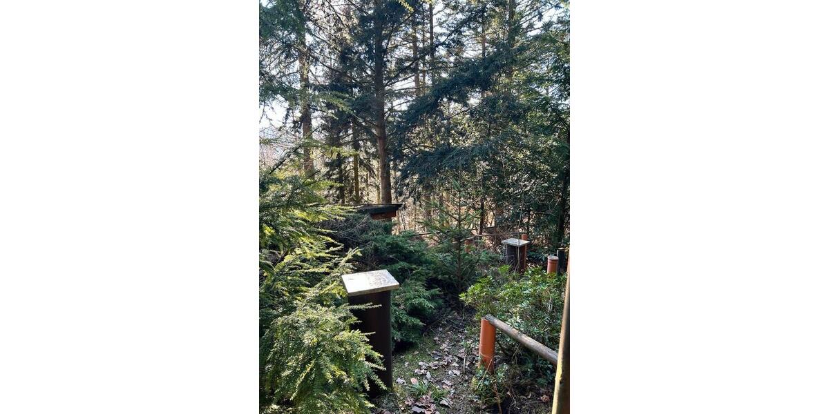 Einfamilienhaus Hardegsen - 4 Zimmer, 70 m&sup2;, 225.000&euro; | Angebot:25235417