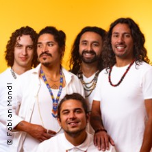 El Flecha Negra 07.11.2025 musa