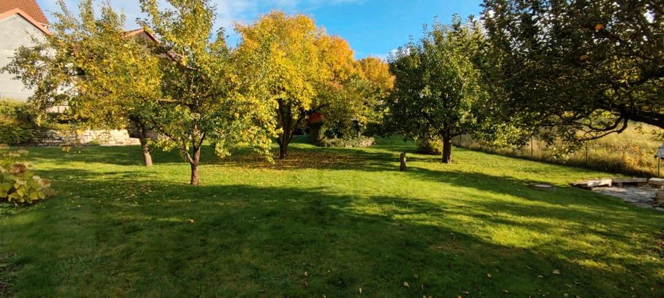 freistehendes Einfamilienhaus, 150 qm Wf. mit traumhaftem Garten 5 zimmer