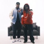 Die P & MP Freshly Live