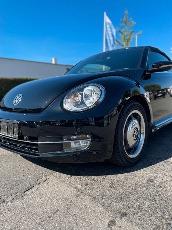 Beetle