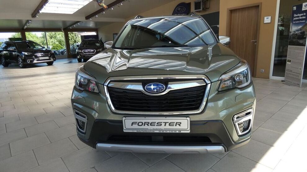 Forester
