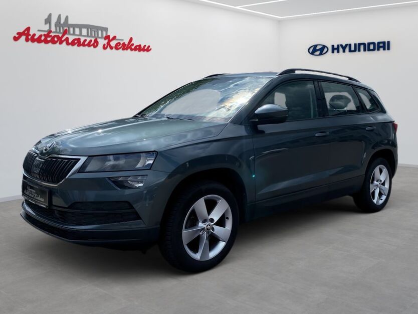 Skoda Karoq 121.000 km 17.250 € Einbeck 37574