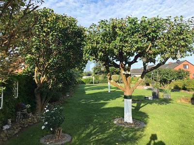 MODERNES ZUHAUSE IN GEPFLEGTEM ZUSTAND - Doppelhaushälfte Bilshausen | Angebot:26029855