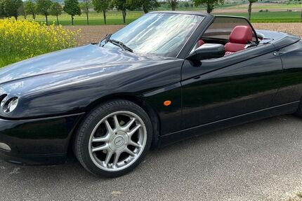 Alfa Romeo Spider