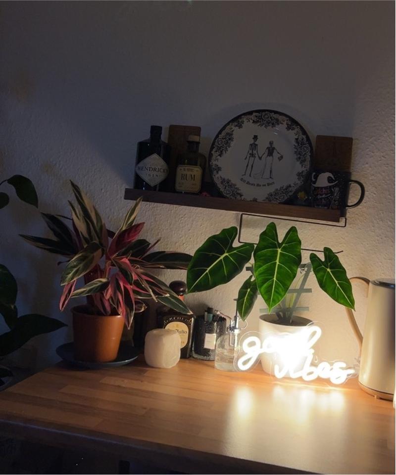 3 Zimmer Wohnung Innenstadt