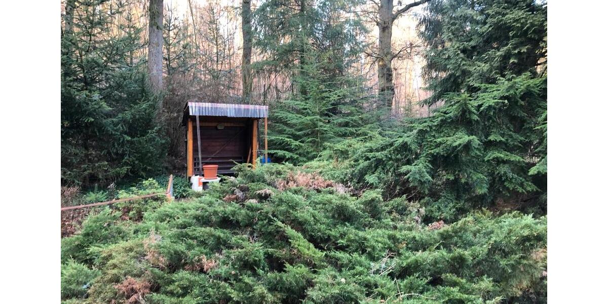 Kleines idyllisches Häuschen auf Waldgrundstück trotzdem stadtnah 4 zimmer