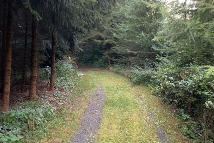 Kleines idyllisches Häuschen auf Waldgrundstück trotzdem stadtnah 4 zimmer