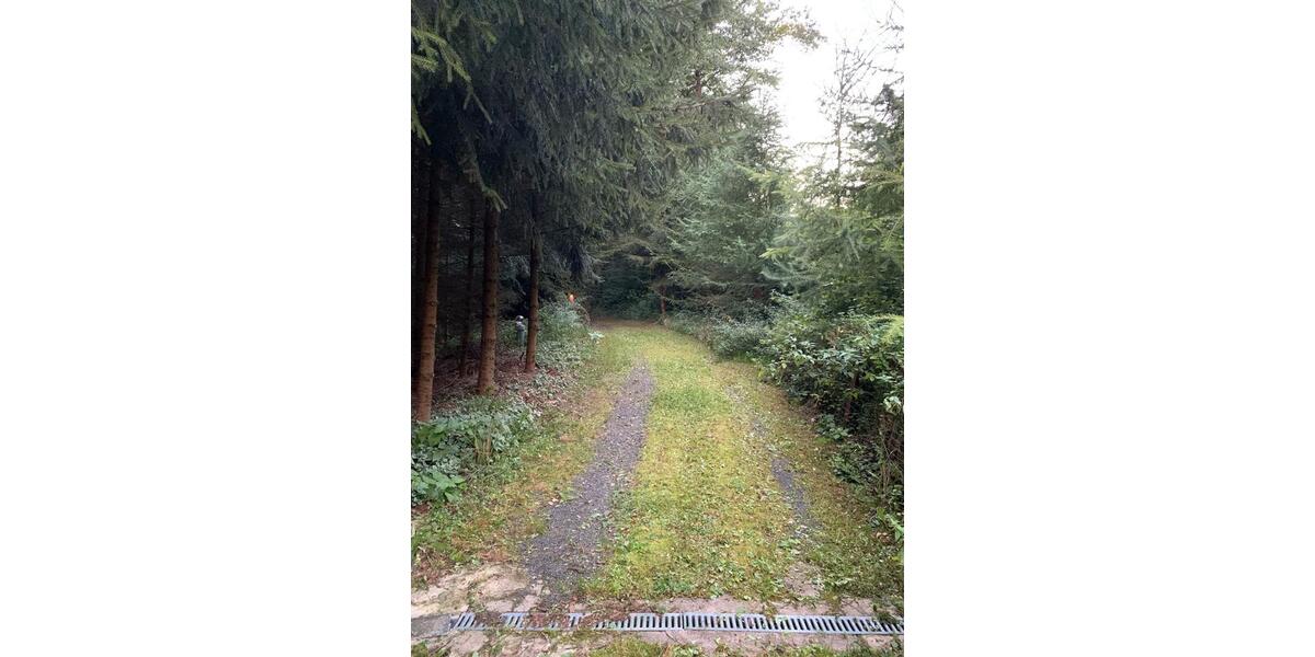 Kleines idyllisches Häuschen auf Waldgrundstück trotzdem stadtnah 4 zimmer