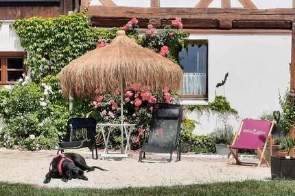 möbliertes idyllisch gelegenes 1 Zimmer Apartment zimmer