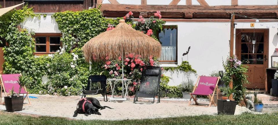 möbliertes idyllisch gelegenes 1 Zimmer Apartment zimmer