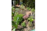 Einfamilienhaus Hardegsen - 7 Zimmer, 177 m&sup2;, 420.000&euro; | Angebot:27216258