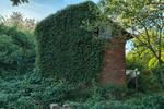 Einfamilienhaus Hattorf am Harz - 25.000&euro; | Angebot:27203167