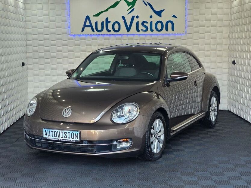 Beetle