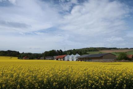 Wohnung Göttingen Oststadt - 2 Zimmer, 65 m&sup2;, 741&euro; | Angebot:25783946