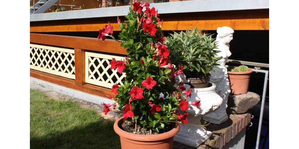 Mehrfamilienhaus, Wohnhaus Rosdorf - 15 Zimmer, 320 m&sup2;, 950.000&euro; | Angebot:24372616