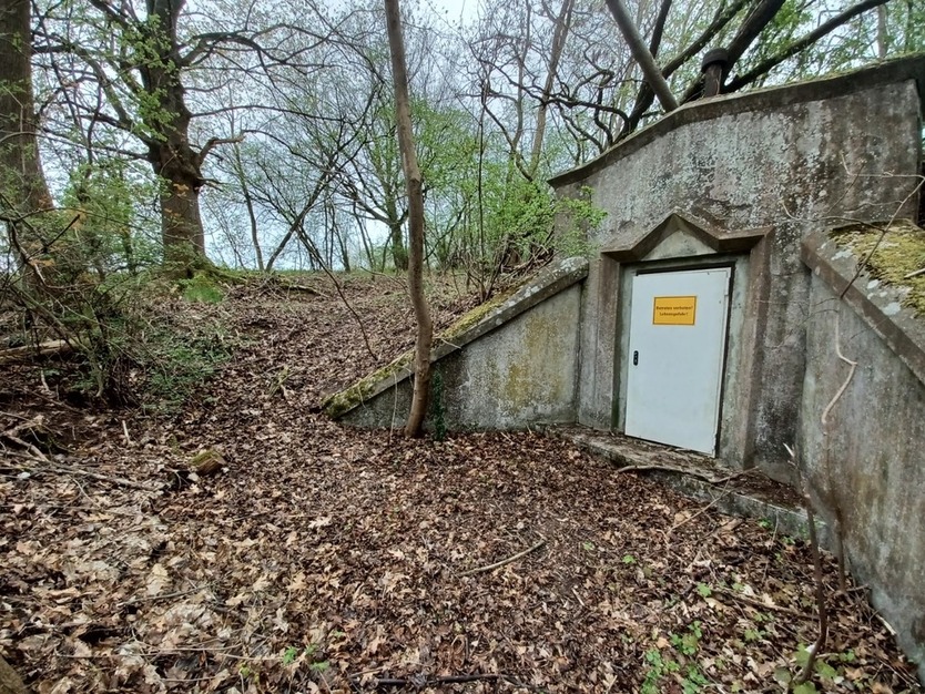 Gebotsverfahren: Waldgrundstück mit ehemaligem Trinkwasserbehälter in Rhumspringe (Landkreis Göttingen) zu verkaufen zimmer