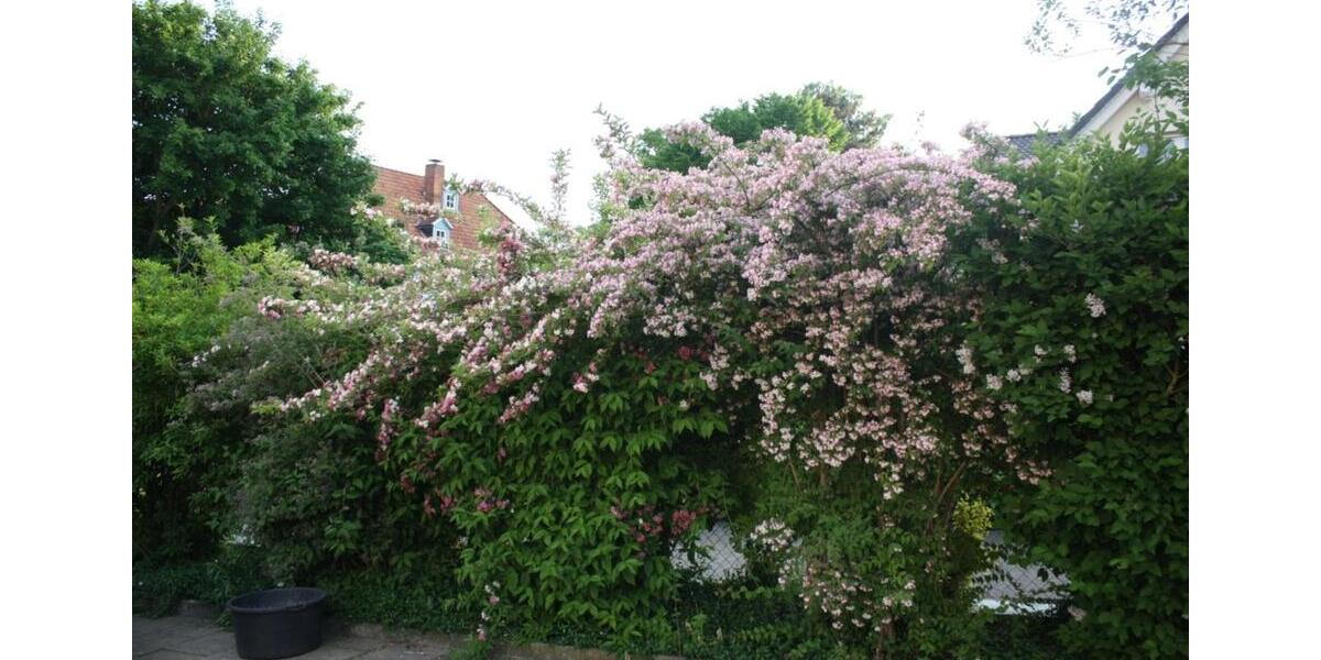 Mehrfamilienhaus, Wohnhaus Rosdorf - 15 Zimmer, 320 m&sup2;, 950.000&euro; | Angebot:24372616