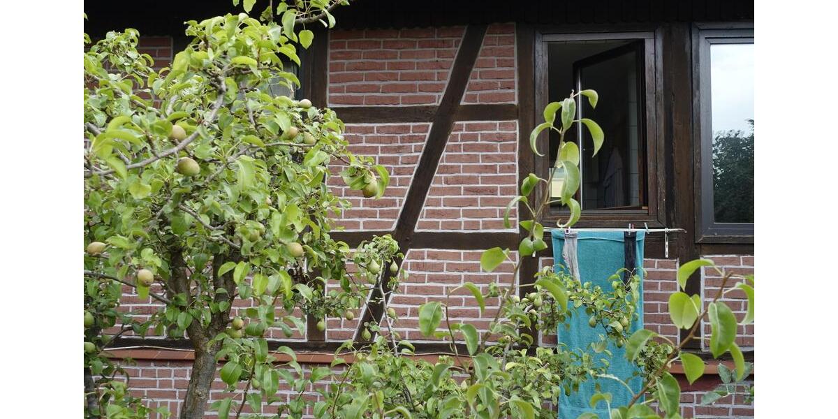 Einfamilienhaus Uslar - 9 Zimmer, 170 m&sup2;, 99.500&euro; | Angebot:27269908