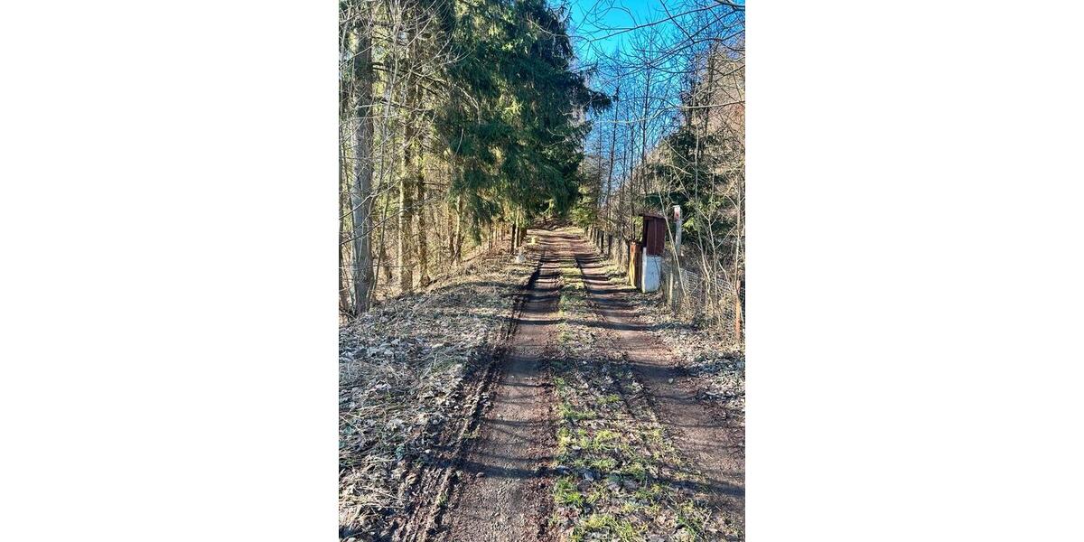 Einfamilienhaus Hardegsen - 4 Zimmer, 70 m&sup2;, 225.000&euro; | Angebot:25235417