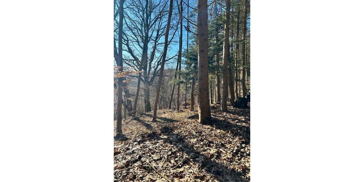 Einfamilienhaus Hardegsen - 4 Zimmer, 70 m&sup2;, 225.000&euro; | Angebot:25235417