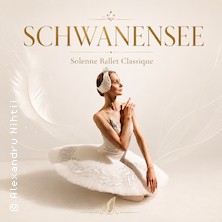 Schwanensee - Solenne Ballet Classique 22.11.2026 Stadthalle Northeim