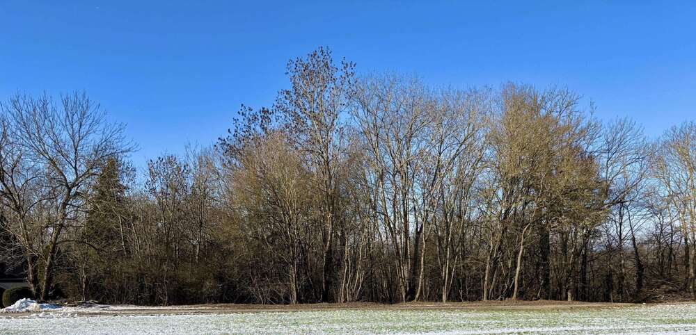 Grundstück Göttingen Roringen - 200.000&euro; | Angebot:26115124