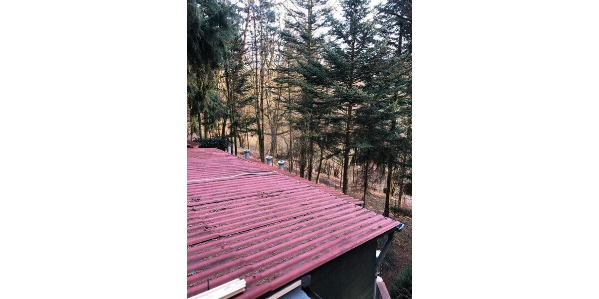 Kleines idyllisches Häuschen auf Waldgrundstück trotzdem stadtnah 4 zimmer