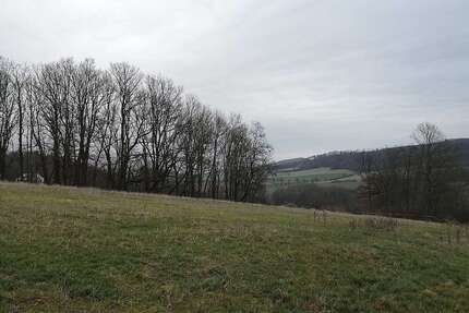 Grundstück zu verkaufen in Friedland 100.100 € 910 m²